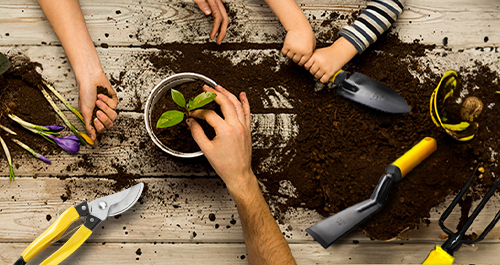 Gardening on a Budget: Creating an Affordable Starter Kit