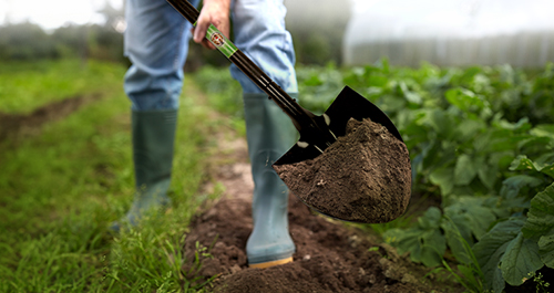Maximising Yield: How the Right Shovel Can Impact Your Sowing Process