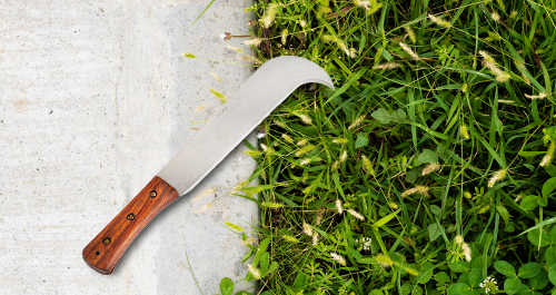 Creative Uses for Your Bill Hook in the Garden