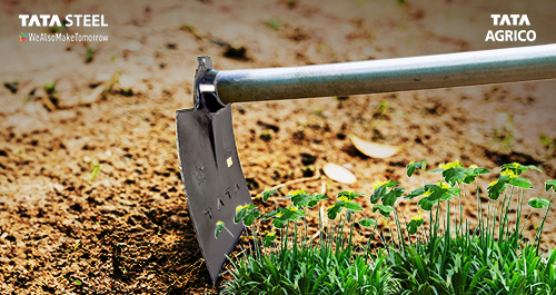 Top 5 Techniques for Efficient Weeding Using Hoes and Powrah