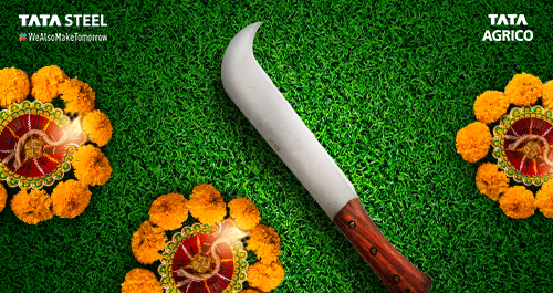 Maintenance With Bill Hook – Get Your Garden Diwali-Ready