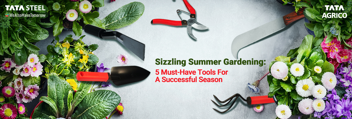 Sizzling Summer Gardening: 5 Must-Have Tools for a Successful Season
