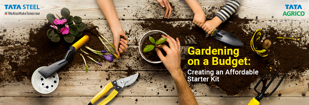 Gardening on a Budget: Creating an Affordable Starter Kit