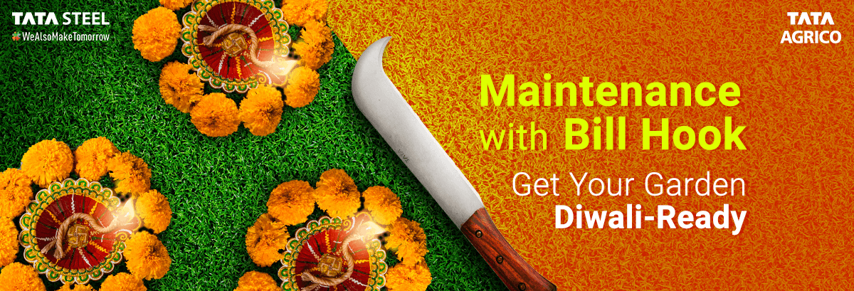 Maintenance With Bill Hook – Get Your Garden Diwali-Ready