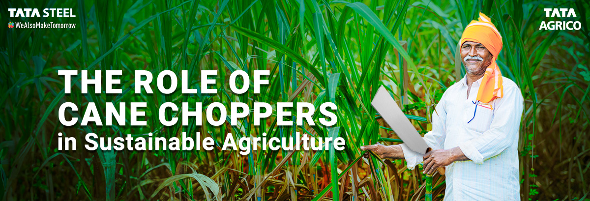 The Role of Cane Choppers in Sustainable Agriculture