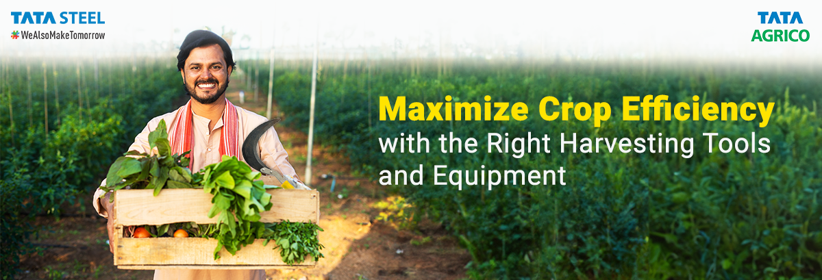 Maximize Crop Efficiency with the Right Harvesting Tools and Equipment