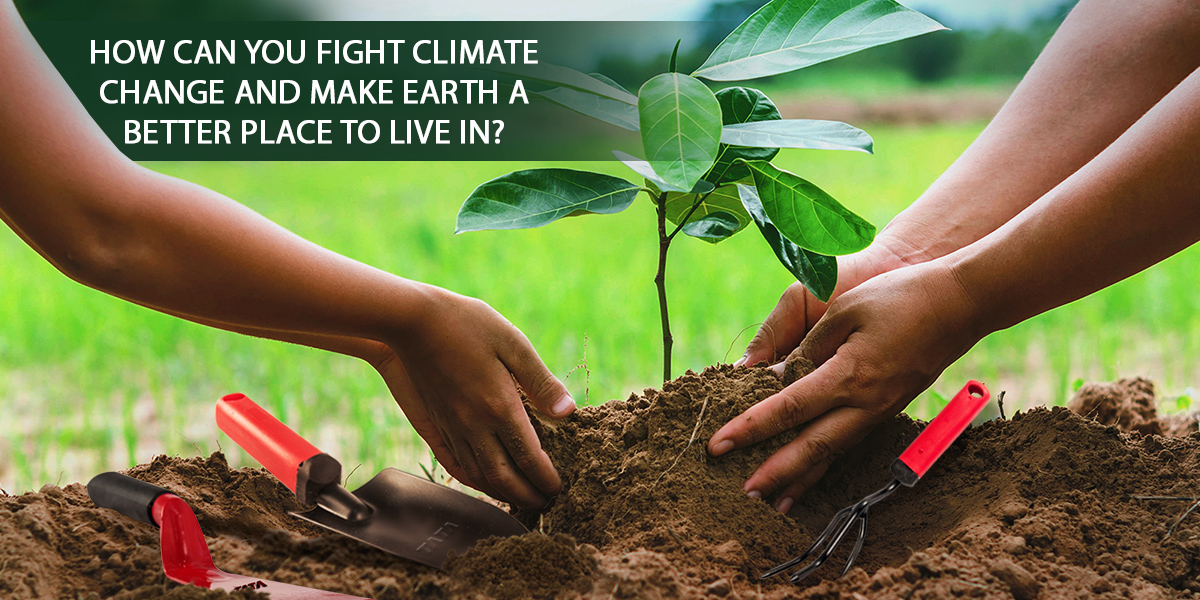 How Can You Fight Climate Change and Make Earth a Better Place to Live In?