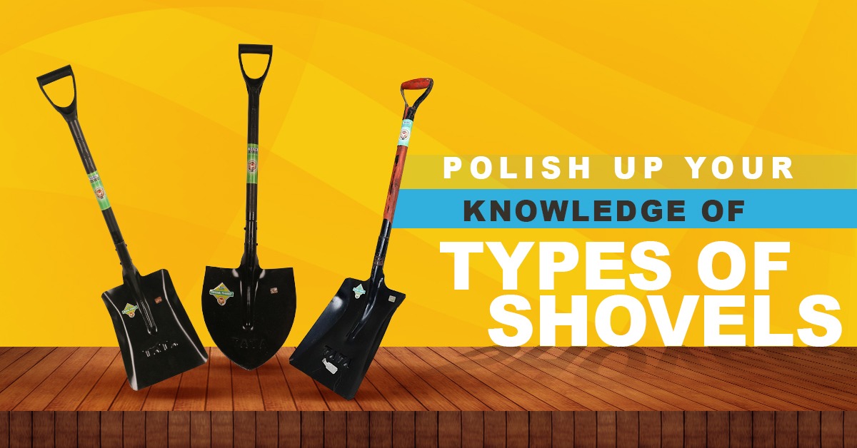 Polish Up Your Knowledge of Types of Shovels