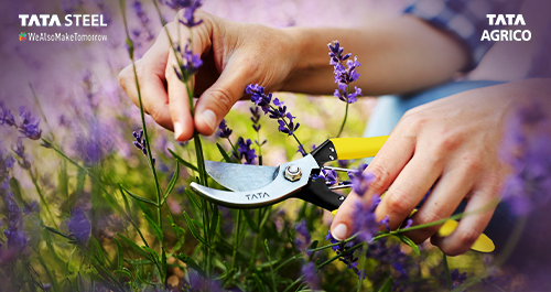 Made for All Gardens: What Every Gardener Must Know About Pruning Secateurs