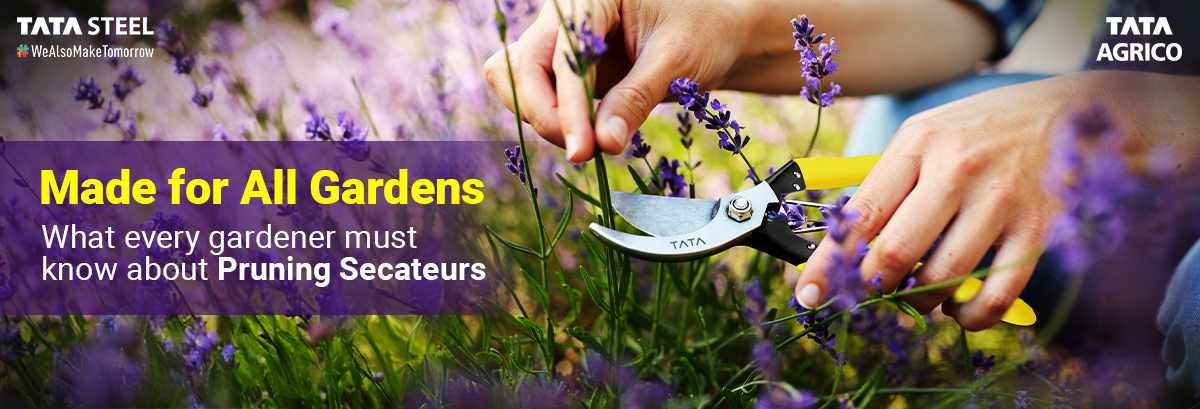 Made for All Gardens: What Every Gardener Must Know About Pruning Secateurs