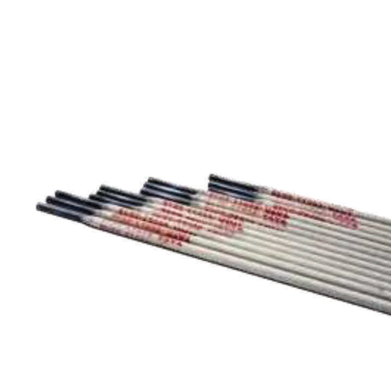 TATA AGRICO Stainless Steel Electrode - SSE001