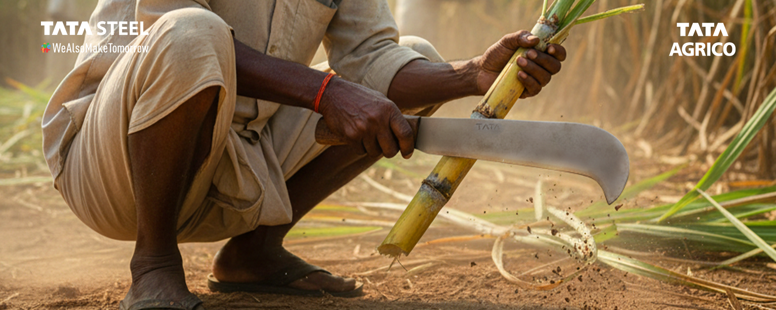 Trim, Clear, Celebrate: Why the GT Bill Hook Deserves a Place in Your Festive Toolkit