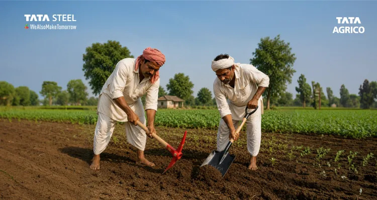 Seasonal Farming Guide: Essential Agricultural Tools for Every Stage