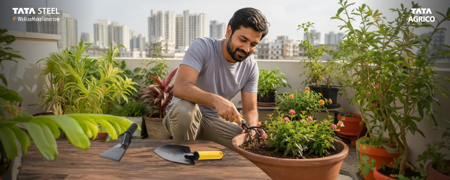 How to Start a Balcony Garden with Minimal Effort and the Right Tools