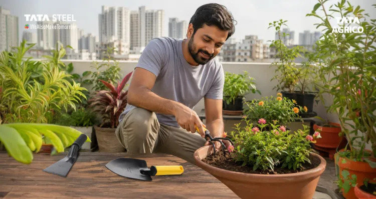 How to Start a Balcony Garden with Minimal Effort and the Right Tools