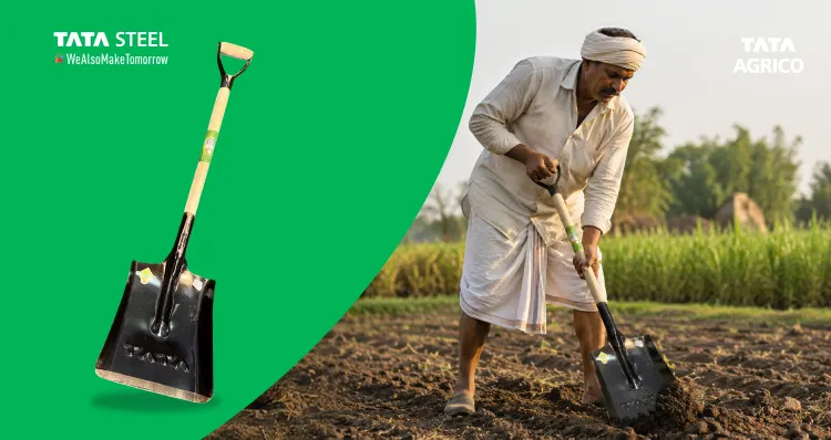 Which Shovel Is Right for Your Project? A Complete Guide to Choosing the Right Shovel