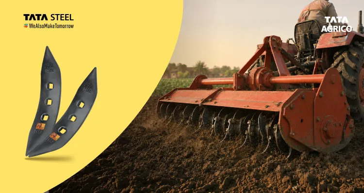When to Replace Tiller Shoes: 5 Key Signs Every Farmer Should Know